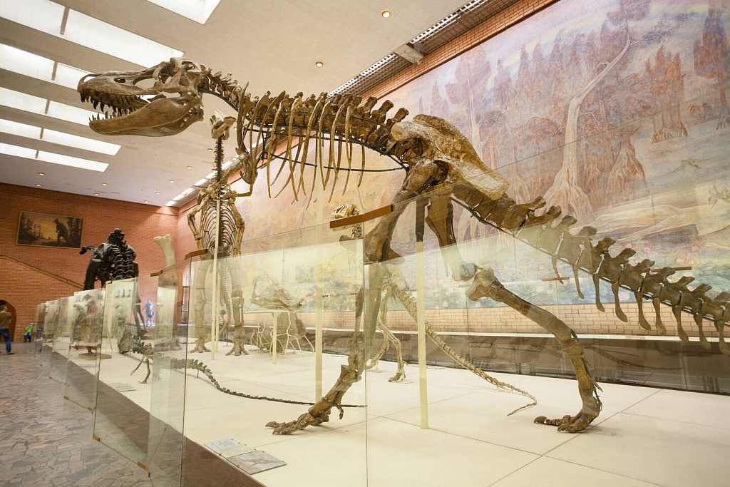 Paleontologicheskiy-muzey-2.jpg Paleontologicheskiy-muzey-2.jpg